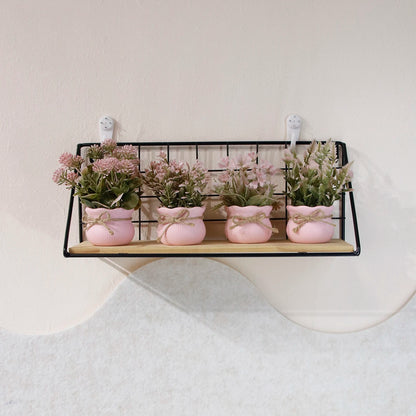 Rosé Serenity – Decorative Mini Plant for Home & Office