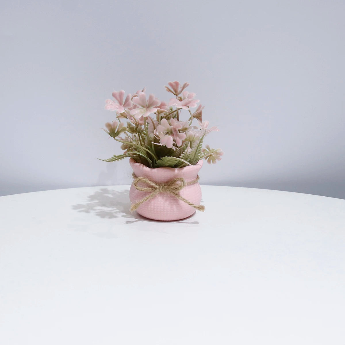 Rosé Serenity – Decorative Mini Plant for Home & Office